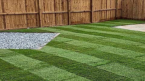 Turf Gallery & Reviews