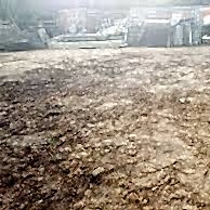 Image for choice number 5