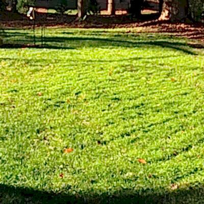 Image for choice number 1