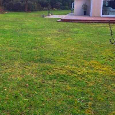 Image for choice number 3