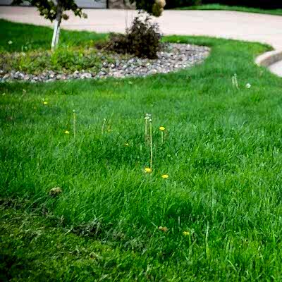 Image for choice number 2