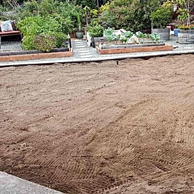 Image for choice number 6