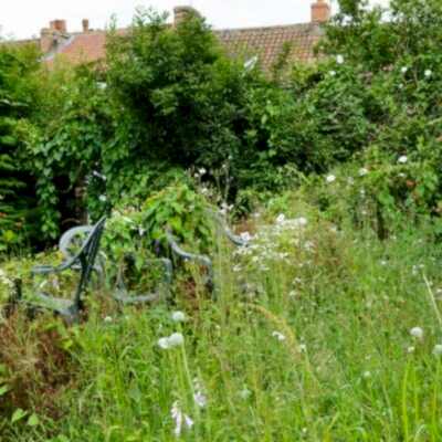 Image for choice number 4