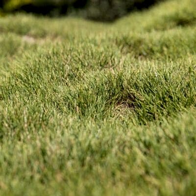 Image for choice number 3