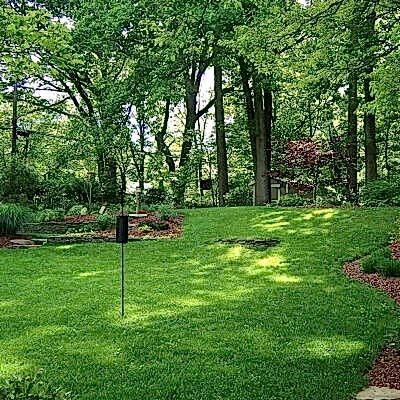 Image for choice number 3